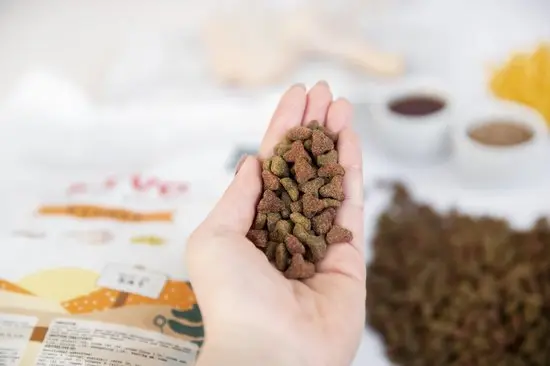 550x366 brok kat kipmix.webp