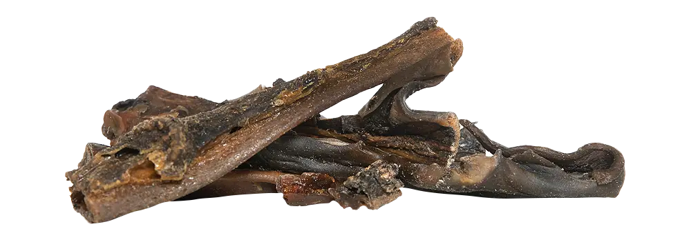 KIVO : Kamelenkophuid