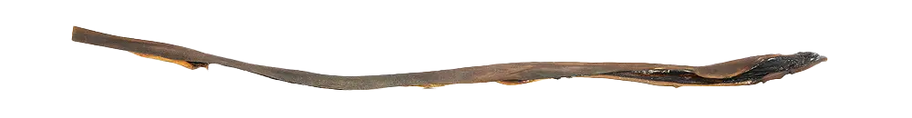 KIVO : Kamelenkophuid Lang - 1 stuk