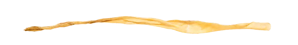 KIVO : Paardenkophuid Lang - 1 stuk