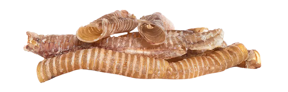 KIVO : Runderluchtpijp