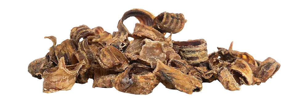 KIVO : Runderluchtpijp Gezaagd 