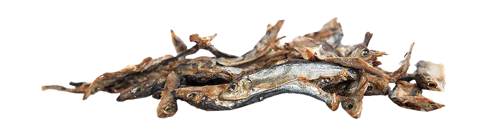 KIVO : Spiering 150g