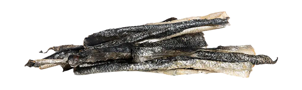 * KIVO : Zalmhuid