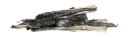 * KIVO : Zalmhuid