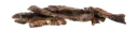 * KIVO : Paardenlong