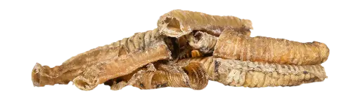 [4DC0310063] KIVO : Lamsluchtpijp